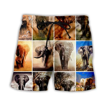 Новые мужские/женские повседневные шорты с 3D принтом Elephant, модная уличная одежда, Мужские Свободные спортивные шорты A27